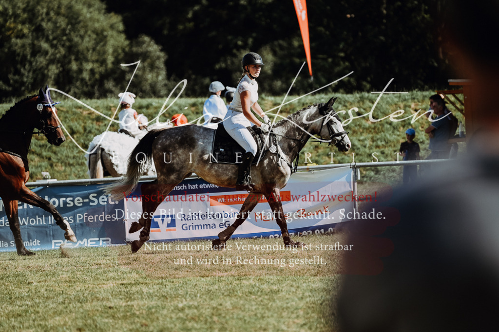 DSC_6997 | Pferde- und Turnierfotografie in Westsachsen. Pferdeportraits, Auftragszeichnungen und intuitive Kunst.