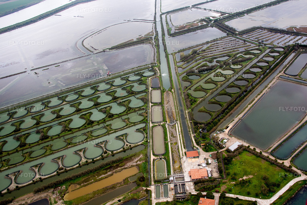 Vue aérienne: Bassins piscicoles du delta du Pô à Porto Tolle dans le département Rovigo, Italie. Photo: IMG_087692.jpg prise le 09/04/2016 par Werner Riehm/FLY-FOTO.eu – Résolution de l'original: 5071 x 3381 px