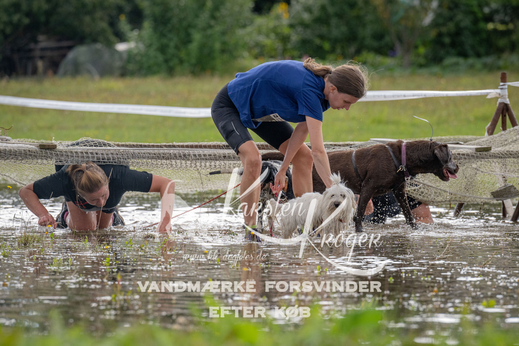 1407_ZZ90081 | kk-dogfotos