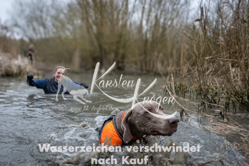 1006_ZZ95783 | kk-dogfotos