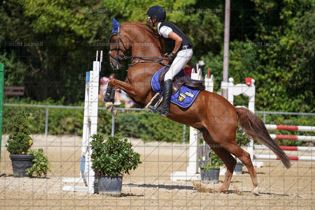 20240824-FAH08195 | Thierhaupten 2024, Bayerisches Landesponyturnier, Turnierbilder, Ponybilder, Turnierfotografen Bayern, Fotoagentur Herrmann