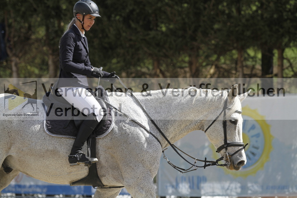 _MG_5142 | equestrian-live-com