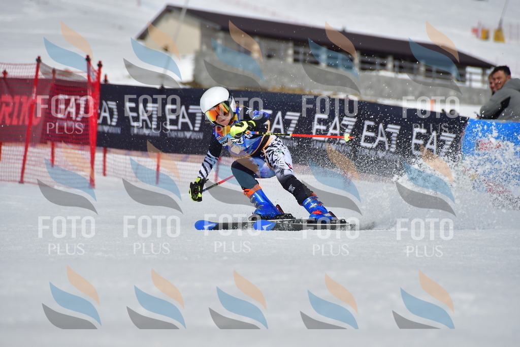 _DSC7266 | holidayphoto