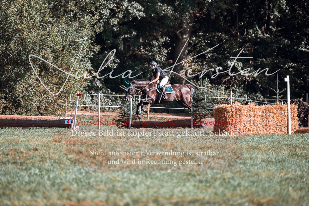 DSC_0908 | Pferde- und Turnierfotografie in Westsachsen. Pferdeportraits, Auftragszeichnungen und intuitive Kunst.