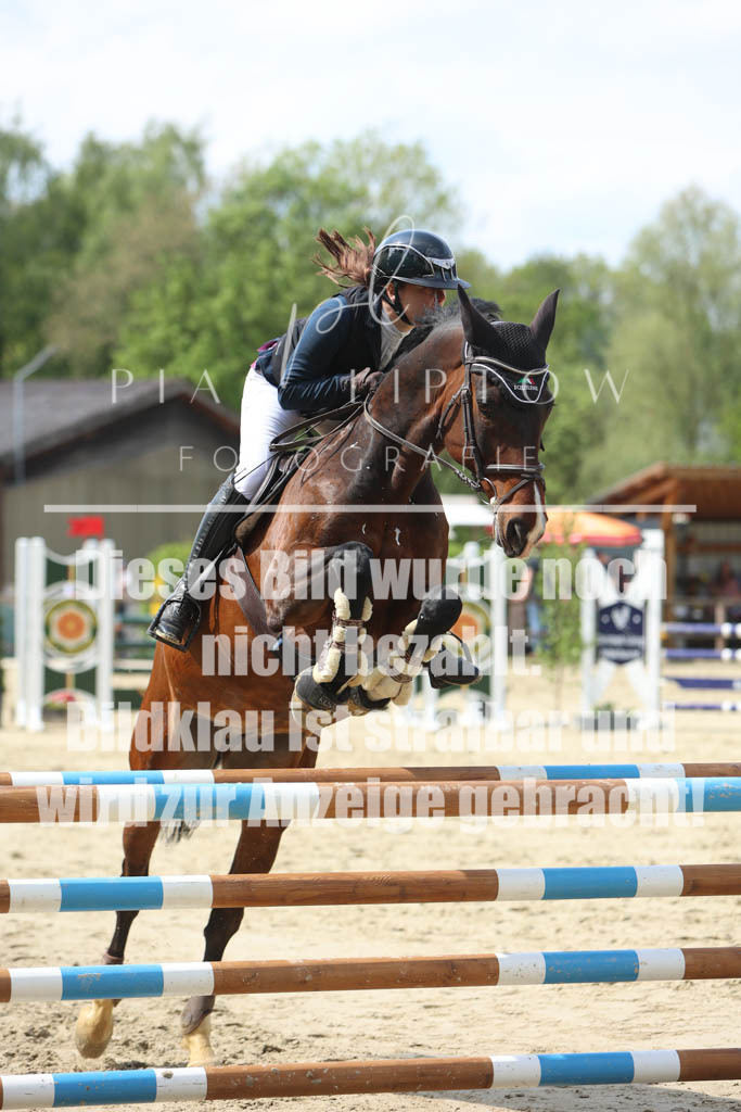IMGM5814 | pl-fotografie