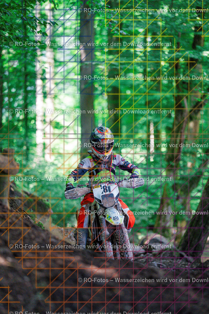 5 Lauf Schlüchtern IGE 2026-379 | Sportfotografie von RO-Fotos: Motorsport, Motocross, Enduro, Laufveranstaltungen und Triathlon. Professionelle Fotos von Sportlern und Events. - Realisiert mit Pictrs.com
