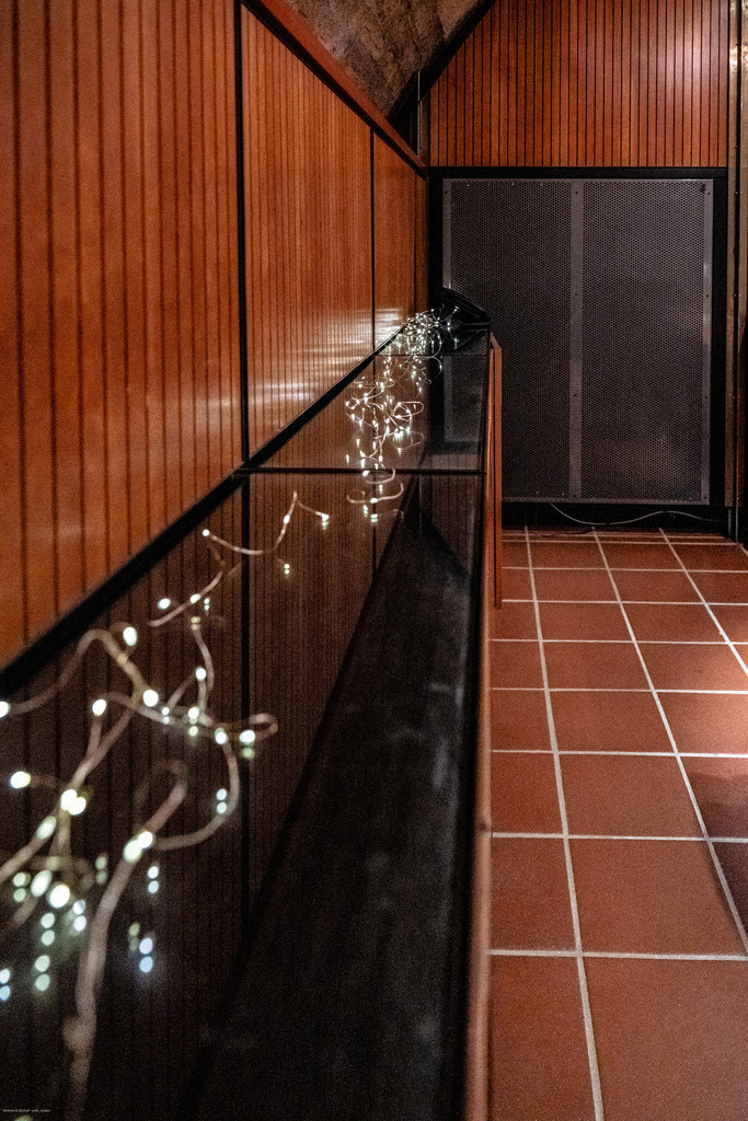 WWB_5785 | <Fotografie> <Video> <Film> <Winfried Bischoff> - Realisiert mit Pictrs.com