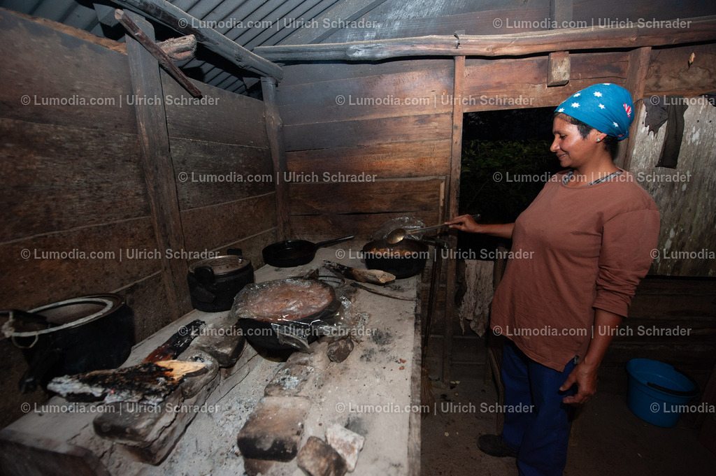 202510-107 | Stockfoto und Bilderpool mit Bildmaterial aus Deutschland, dem Harz, Halberstadt, Quedlinburg, Wernigerode und weltweit. Qualitativ hochwertige und professionelle Fotos anschauen und kaufen. - Realisiert mit Pictrs.com