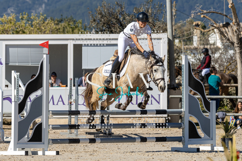 IMG_9218 | s-jay-photography - Realisiert mit Pictrs.com