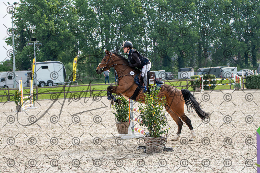 KPT_2390 | andre_photographic