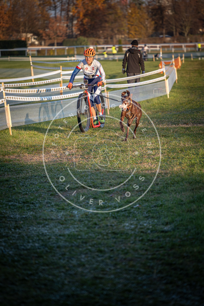 CaniXpix_0L8A2006 | Hundefotografie, Tierfotograf, Pfotenfotografie, Fotoshooting Hund, Hunde Portrait, Hundesport, Hundeportraits, Heideshooting, Hunde, Sportfotograf, Hundefotograf, Turnierhundsport, THS,  - Realisiert mit Pictrs.com