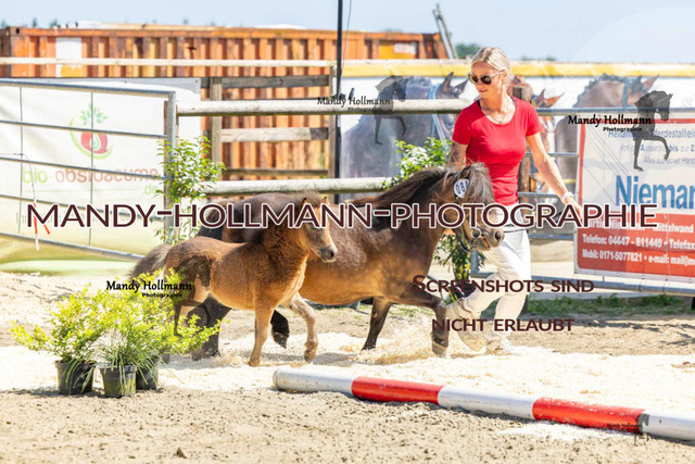 _MG_0305 | mandyhollmannphotographie