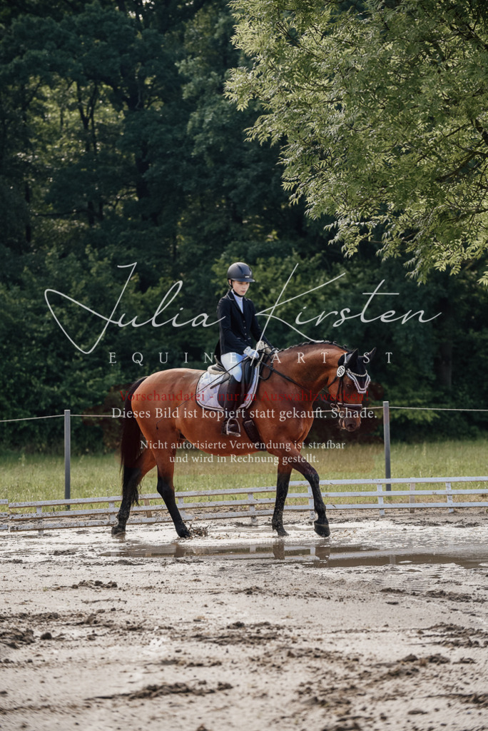 DSC_8090 | Pferde- und Turnierfotografie in Westsachsen. Pferdeportraits, Auftragszeichnungen und intuitive Kunst.