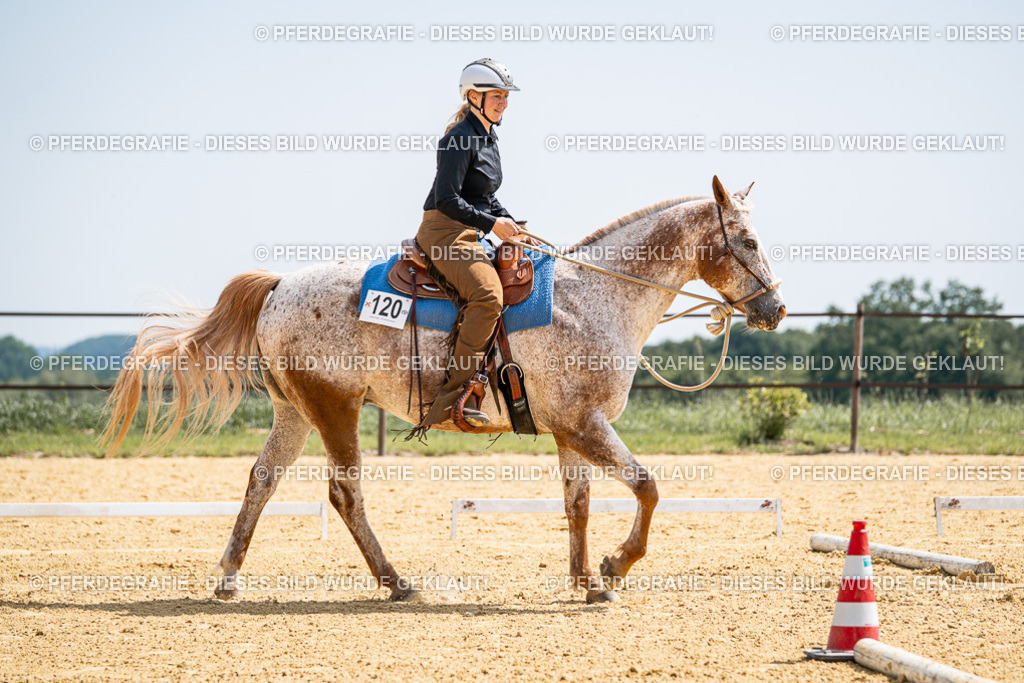 DSC00573 | Pferdegrafie