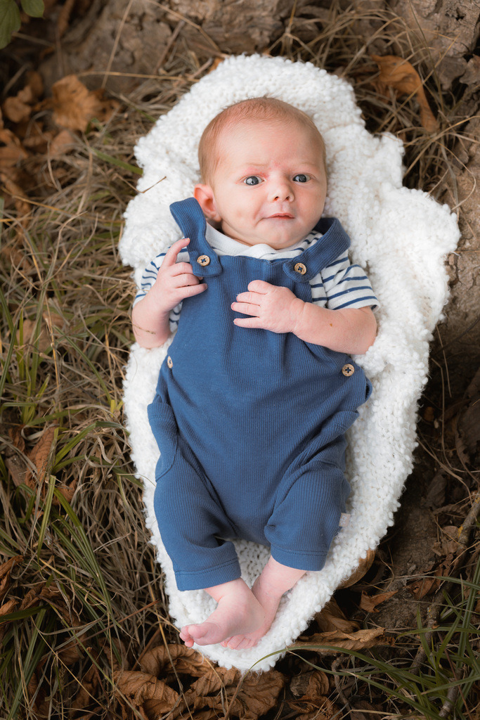 ZD260823162821 | Fotoshop von zweidimensional Fotografie. Ihr Fotograf im Aargau. Abzüge von Ihrem Fotobox Event bestellen.Abzüge von Ihrem Hochzeit bestellen.Abzüge von Ihrem Schulfotograf bestellen.