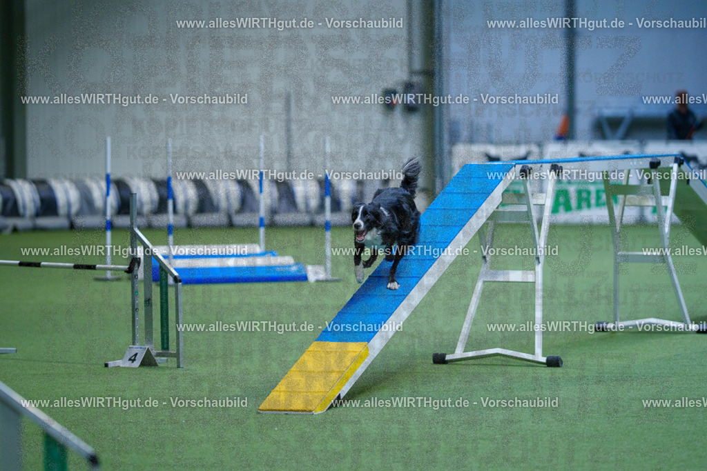 @allesWIRTHgut_Tierfotografie - www.allesWIRTHgut.de - 2604260831-7R507064 | Professionelle Tierfotografie in Mönchengladbach von Daniel Wirth (allesWIRTHgut). Liebevolle & natürliche Bilder von Hunden & Katzen für unvergessliche Erinnerungen.