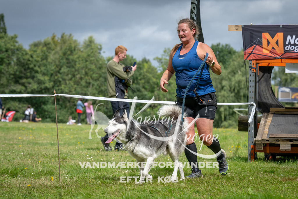 1147_ZZ92995 | kk-dogfotos