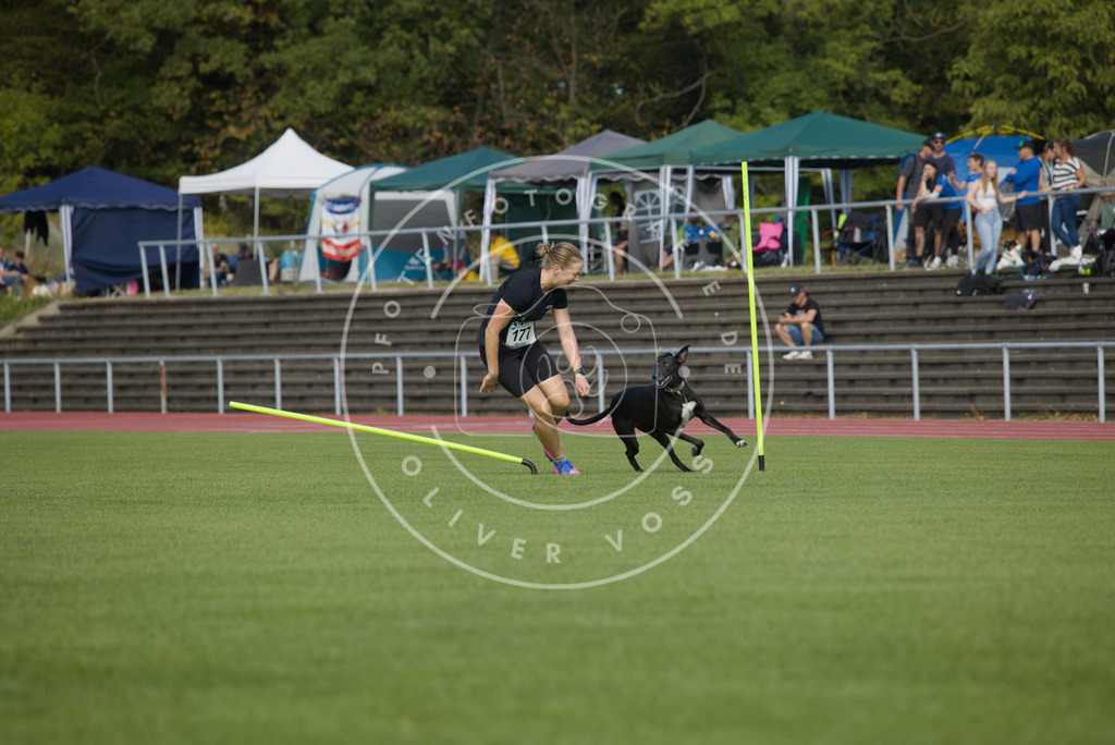 0L8A3334 | Hundefotografie, Tierfotograf, Pfotenfotografie, Fotoshooting Hund, Hunde Portrait, Hundesport, Hundeportraits, Heideshooting, Hunde, Sportfotograf, Hundefotograf, Turnierhundsport, THS,  - Realisiert mit Pictrs.com