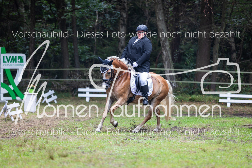 HB-A-Dressur-125 | MomenTaufnahmen Pferdesportfotos