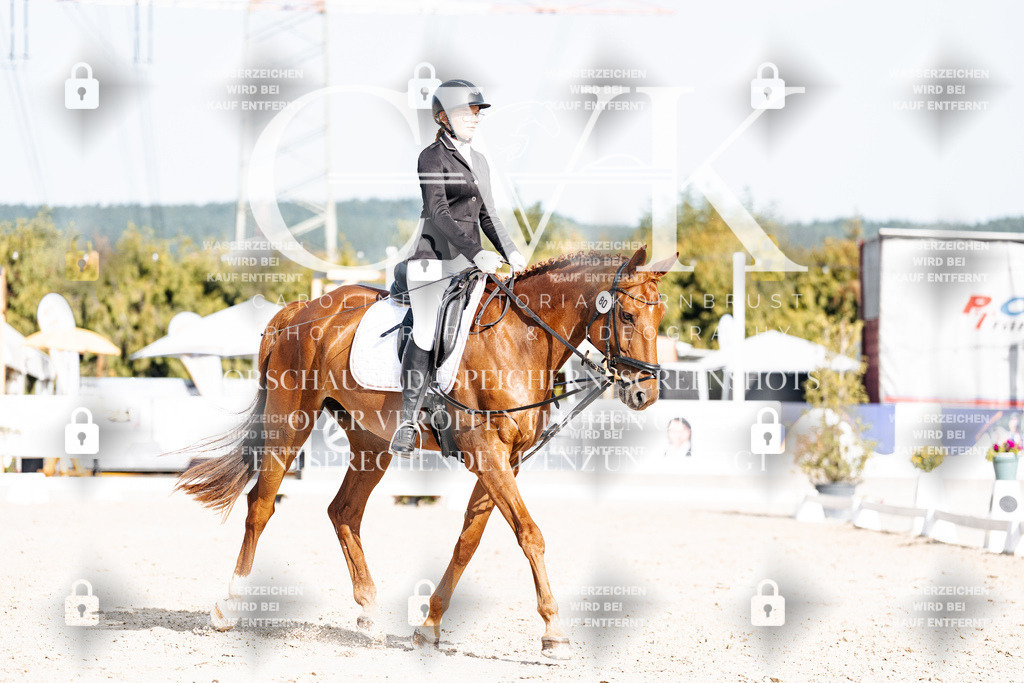CK905463 | Turnierfotografie Pferdefotografie Trier Rheinland-Pfalz Pferdesport Reitsport Tierfotografie Sportfotografie Pferdevideo Pferdevideografie Equestrianvideography equestrianphotography  - Realisiert mit Pictrs.com