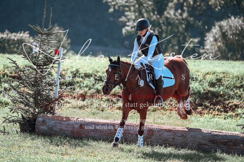 DSC_0616 | Pferde- und Turnierfotografie in Westsachsen. Pferdeportraits, Auftragszeichnungen und intuitive Kunst.
