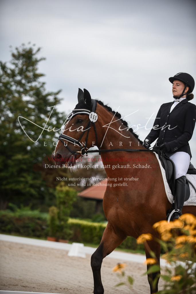 DSC_8086 | Pferde- und Turnierfotografie in Westsachsen. Pferdeportraits, Auftragszeichnungen und intuitive Kunst.