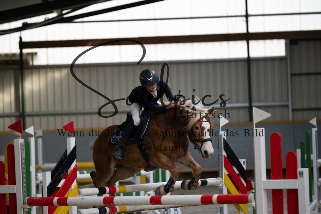 A7V07500 | Pferdefotograf