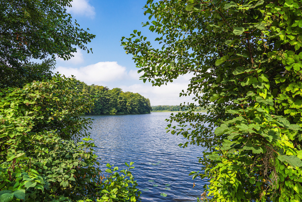 Seeblick mit Bäumen in der Stadt Zarrentin am Schaalsee | Seeblick mit Bäumen in der Stadt Zarrentin am Schaalsee.