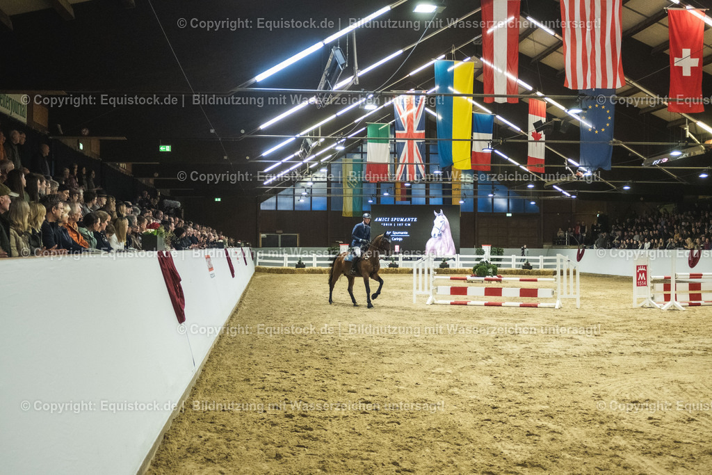 20240302_Hengstvorstellung_Marbach_TOMsPiC_0456 | equistock