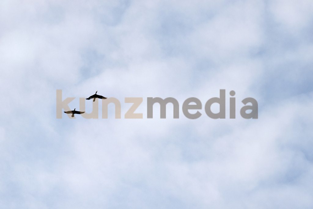 79_MITWELTEN im Naturschutzgebiet_kunzmedia.ch | OnlineShop für Bilder kunzmedia.ch