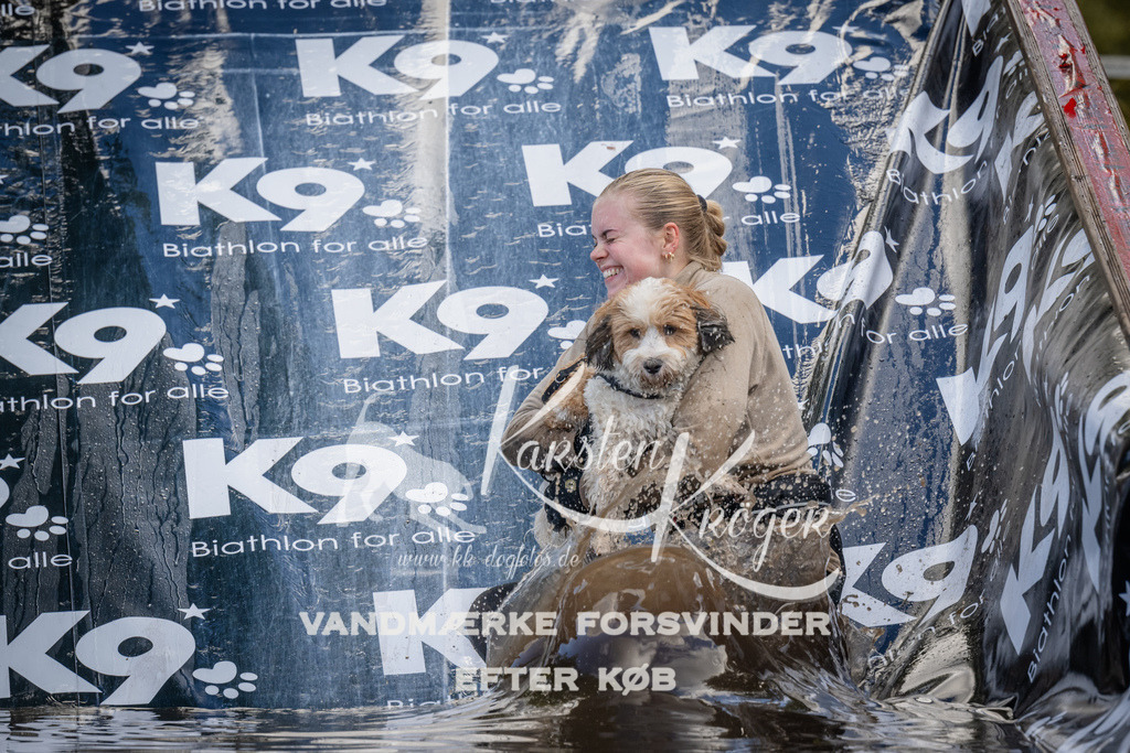 1530_ZZ94731 | kk-dogfotos