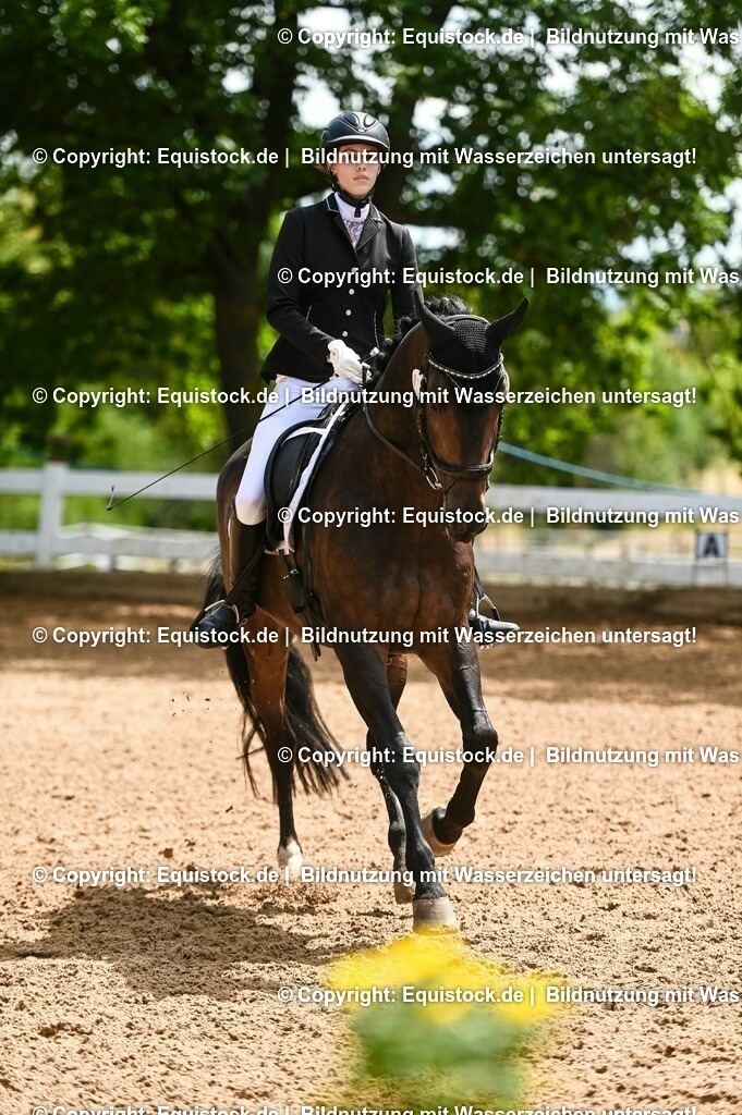 20230716_03_Dressurprfg. Kl.L - Tr._0577 | equistock
