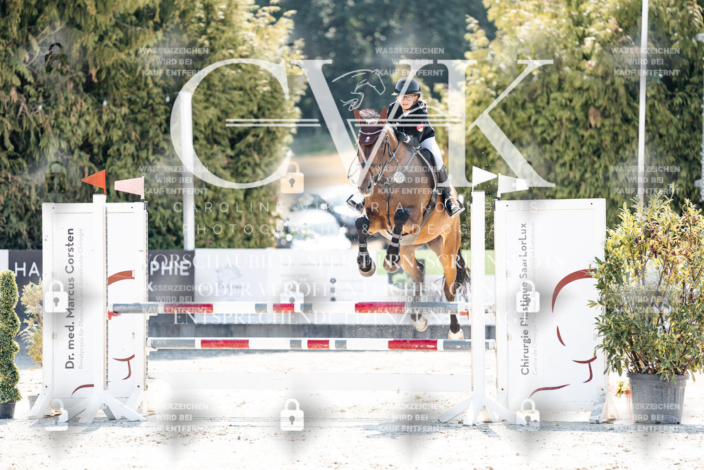 CK908610 | Turnierfotografie Pferdefotografie Trier Rheinland-Pfalz Pferdesport Reitsport Tierfotografie Sportfotografie Pferdevideo Pferdevideografie Equestrianvideography equestrianphotography  - Realisiert mit Pictrs.com