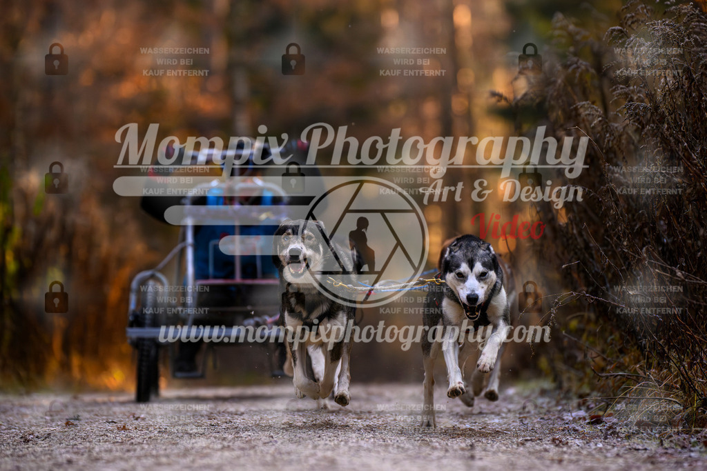 MompixPhotography_DM_AKDM_SO_2025_Wagen-61 | PayLife