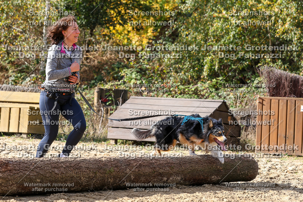 Dog Paparazzi - Strongdog 10-25-5722 | Dog Paparazzi Jeanette Grottendiek Fotografie & Videografie - Realisiert mit Pictrs.com