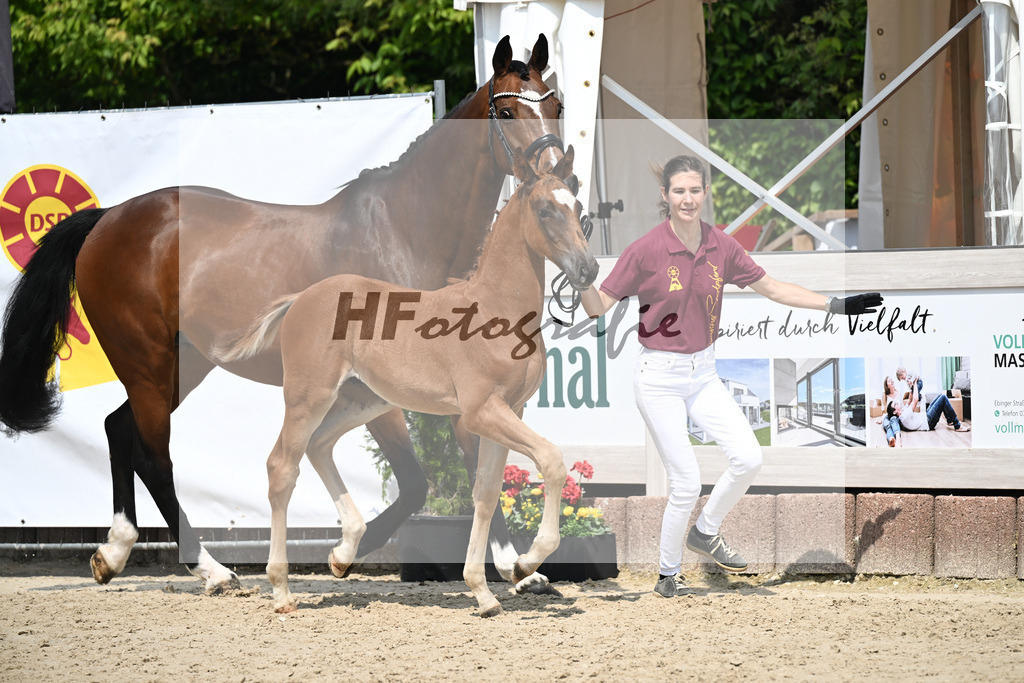 Arezzo Man x Celentano_HF_Moldvai_12250427 | hf-fotografie - Realisiert mit Pictrs.com