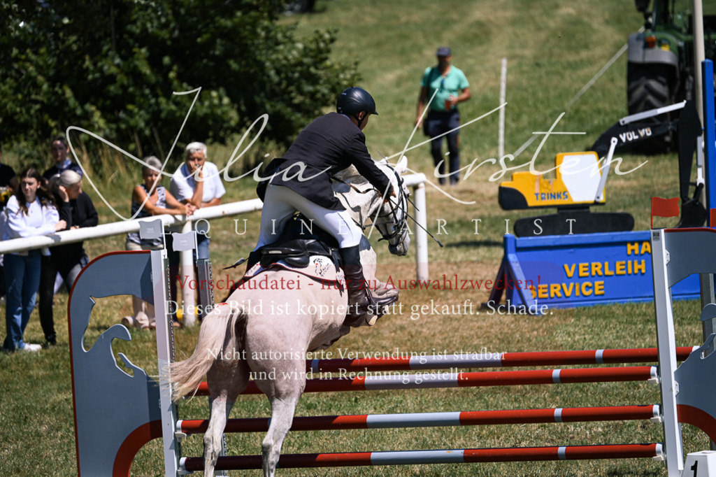 DSC_9992 | Pferde- und Turnierfotografie in Westsachsen. Pferdeportraits, Auftragszeichnungen und intuitive Kunst.