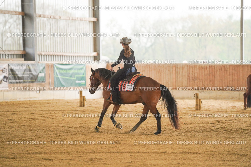 DSC09905 | Pferdegrafie