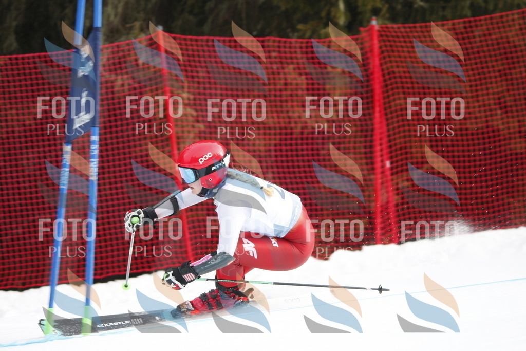 D5056 | holidayphoto