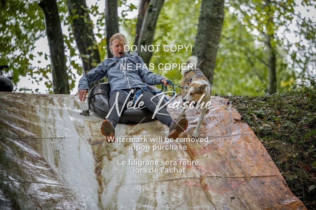 nelerasche_Hunsrück_Sa1430-1500_257-final | nelerasche