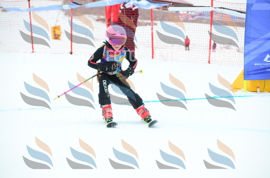 DSC_0708 | holidayphoto