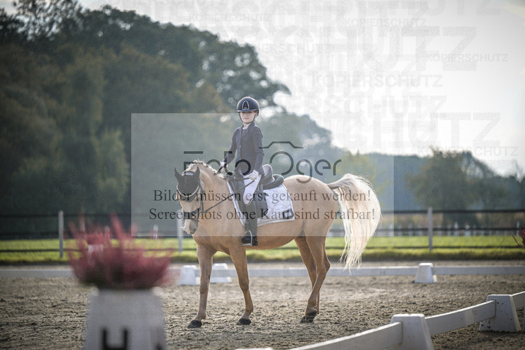 DOS_4771 | Entdecke hochwertige Reitturnierfotos von Foto Oger. Professionell, emotional und authentisch – jetzt Lieblingsmomente im Shop bestellen.Deutschlandweite Turnierfotografie. - Realisiert mit Pictrs.com