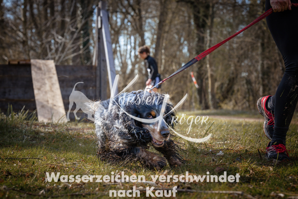 0916_ZZ94580 | kk-dogfotos