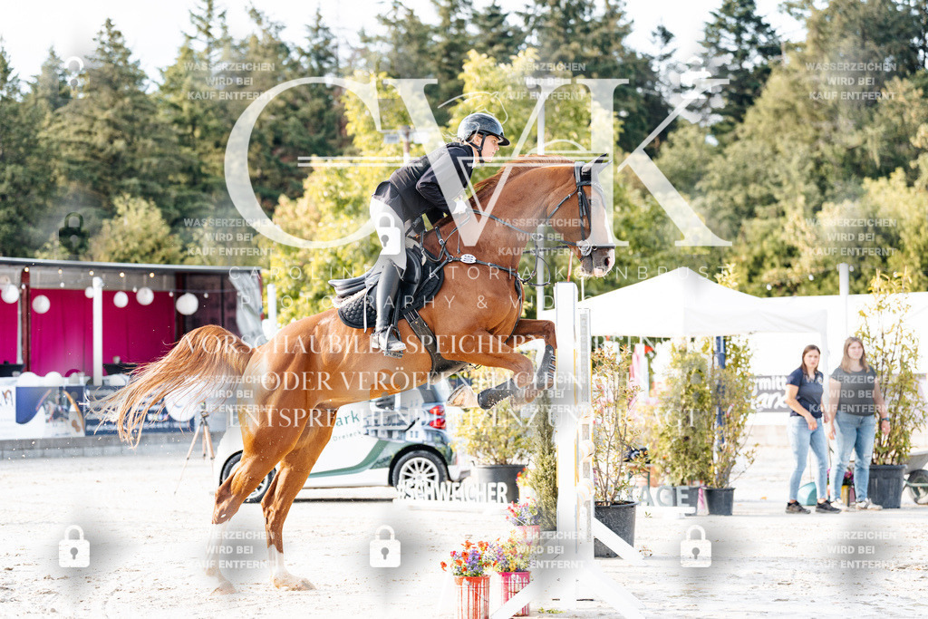 CK903290 | Turnierfotografie Pferdefotografie Trier Rheinland-Pfalz Pferdesport Reitsport Tierfotografie Sportfotografie Pferdevideo Pferdevideografie Equestrianvideography equestrianphotography  - Realisiert mit Pictrs.com