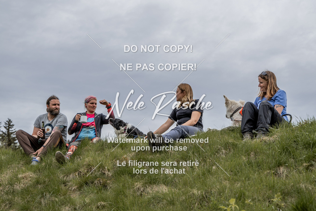 NR__3014 | nelerasche