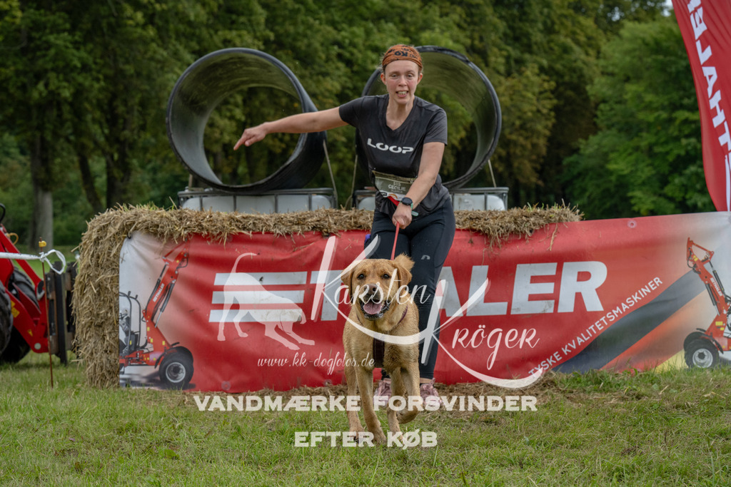 1128_ZZ94330 | kk-dogfotos