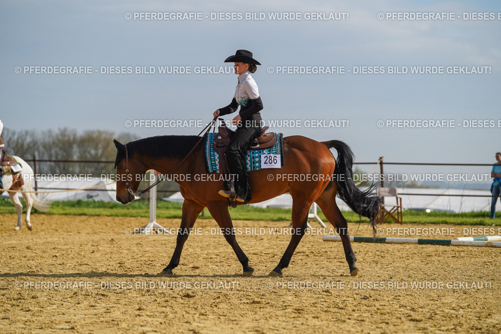 DSC01279 | Pferdegrafie