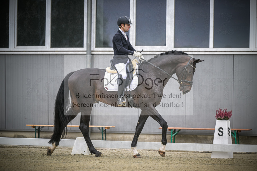 DOS_0013 | Entdecke hochwertige Reitturnierfotos von Foto Oger. Professionell, emotional und authentisch – jetzt Lieblingsmomente im Shop bestellen.Deutschlandweite Turnierfotografie. - Realisiert mit Pictrs.com