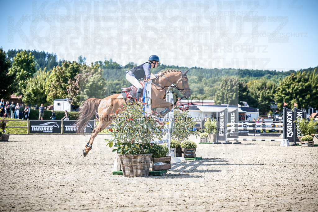DOS_1336 | Entdecke hochwertige Reitturnierfotos von Foto Oger. Professionell, emotional und authentisch – jetzt Lieblingsmomente im Shop bestellen.Deutschlandweite Turnierfotografie. - Realisiert mit Pictrs.com