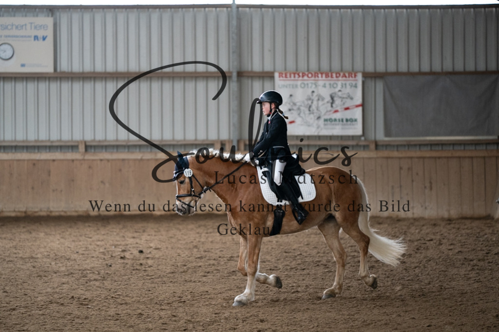 A7V04962 | Pferdefotograf